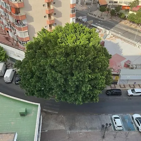 Le Nest Center *